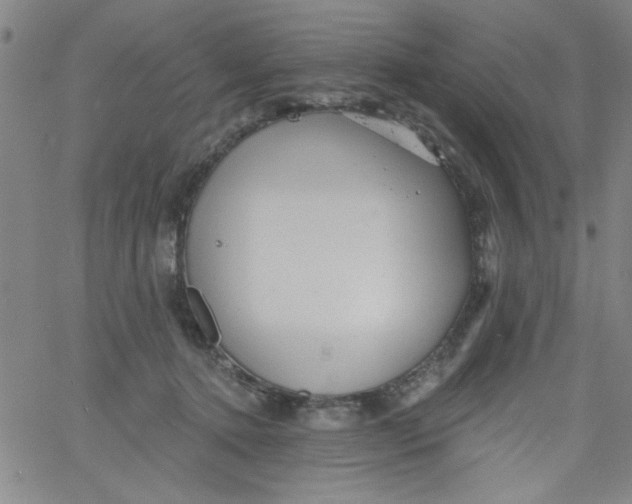 X0000061730368200512231440