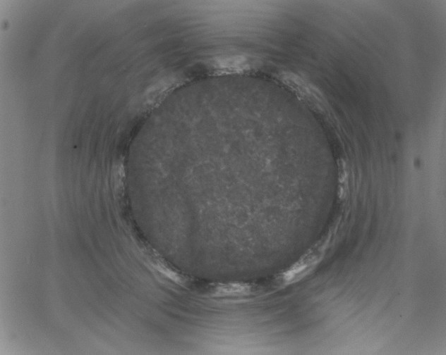 X0000061730369200512231441