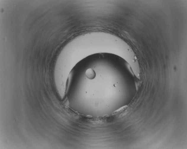 X0000061730370200512231441