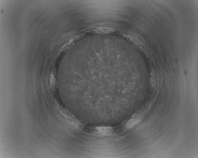 X0000061730371200512231441