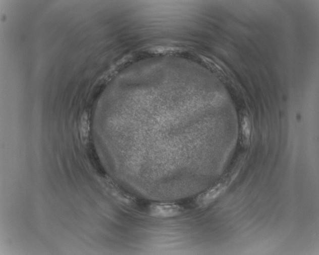 X0000061730372200512231441