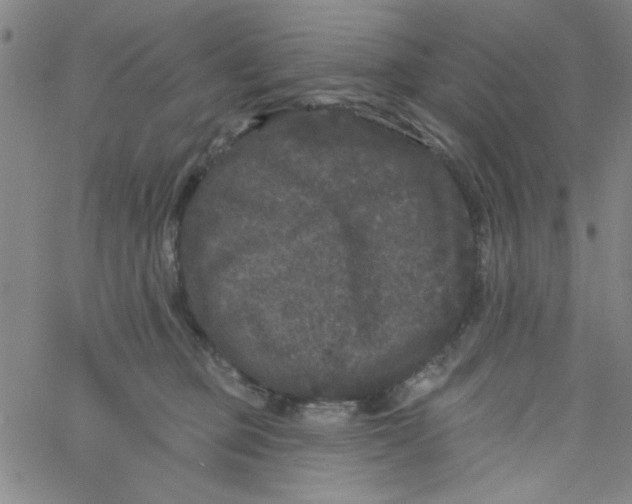 X0000061730373200512231441