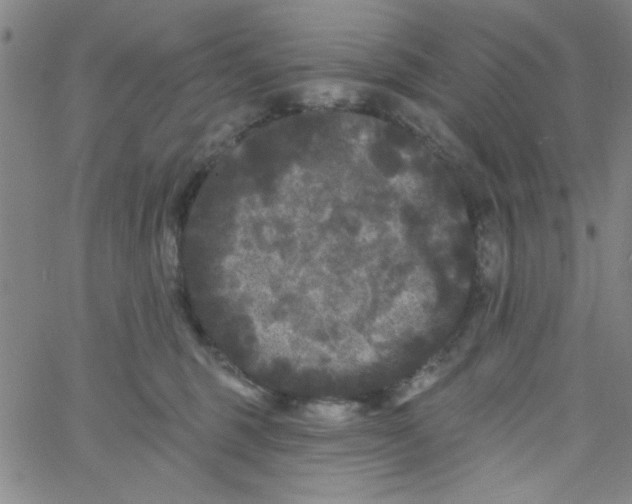 X0000061730375200512231441