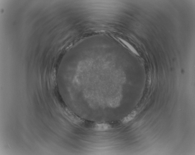 X0000061730376200512231441