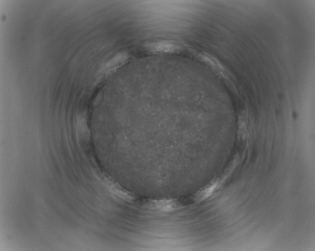 X0000061730377200512231441