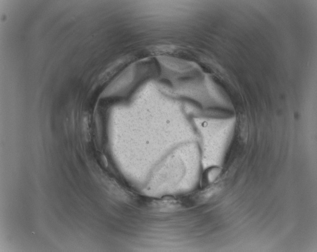 X0000061730378200512231441