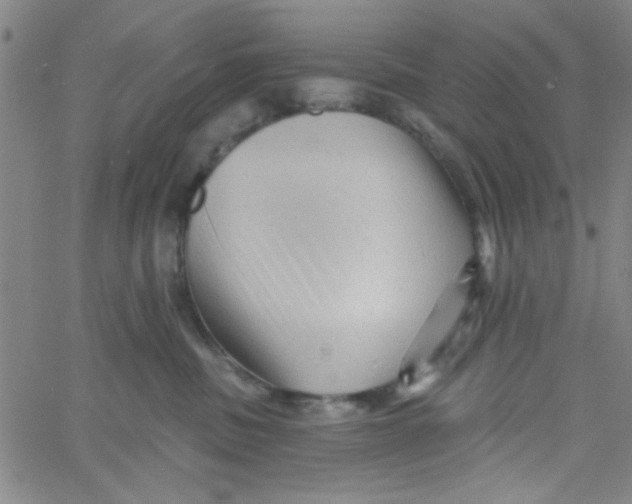 X0000061730379200512231441