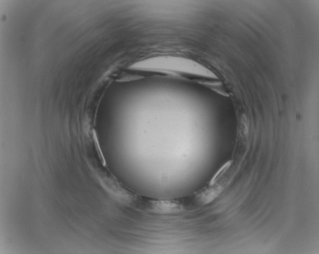 X0000061730380200512231441