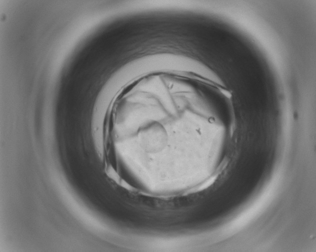 X0000061730382200512231441