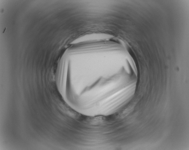 X0000061730384200512231441