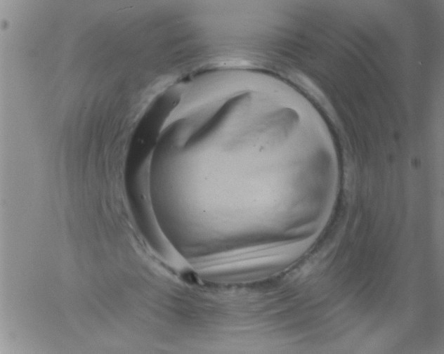 X0000061730385200512231440