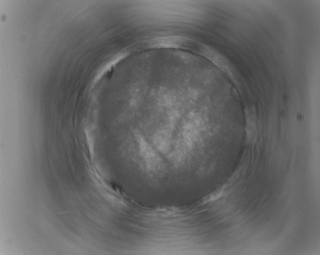 X0000061730386200512231440