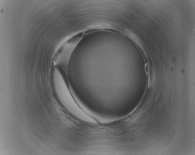 X0000061730387200512231440