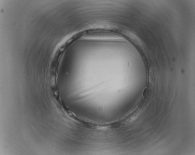 X0000061730388200512231440