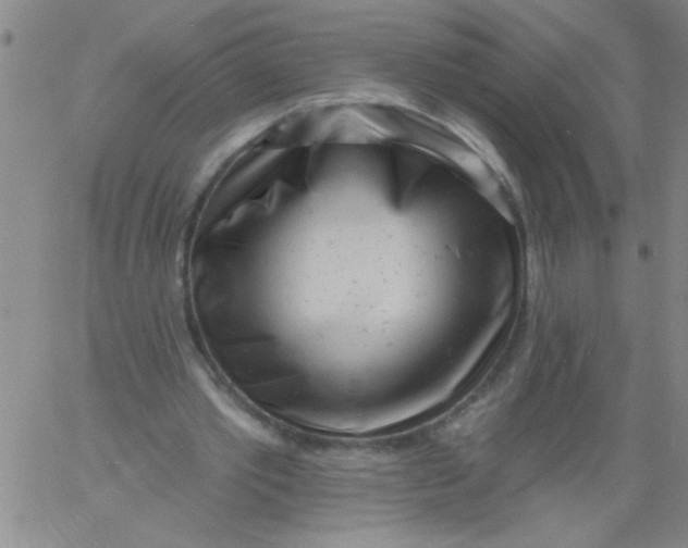 X0000061730389200512231440