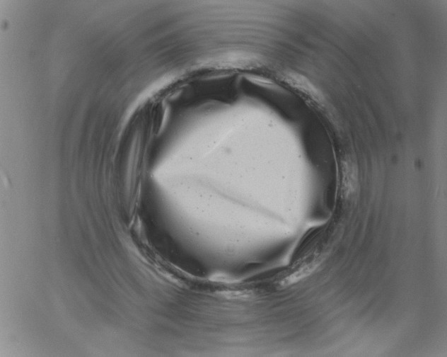 X0000061730392200512231440