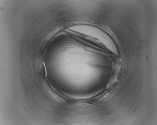 X0000061730393200512231440