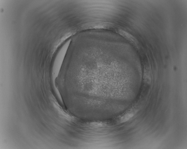 X0000061730394200512231440