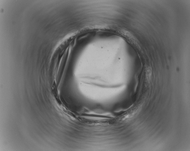 X0000061730395200512231440