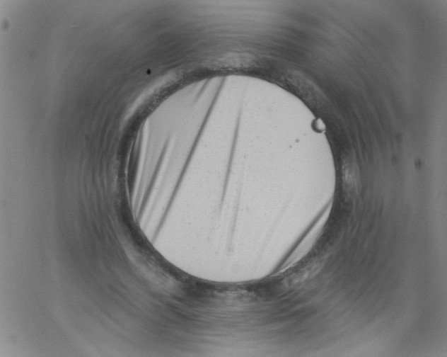 X0000061730396200512231440