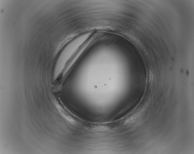 X0000061730397200512231440