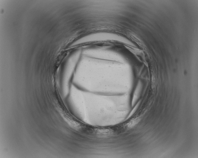 X0000061730401200512231440