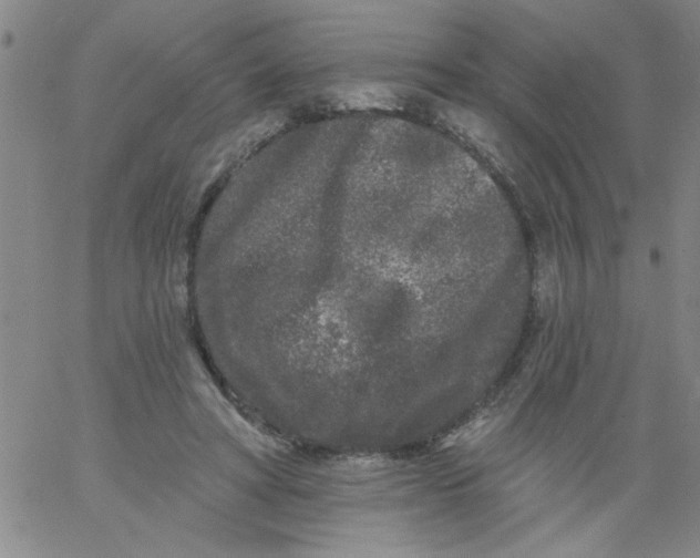 X0000061730402200512231440