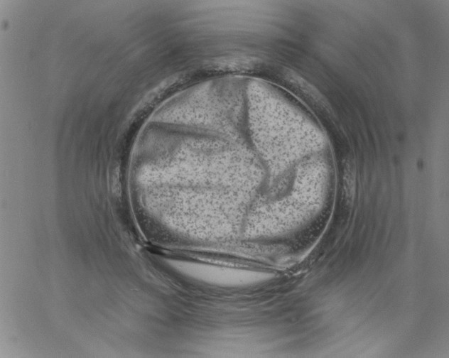 X0000061730403200512231440