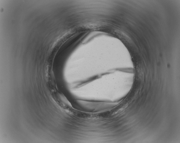 X0000061730404200512231440