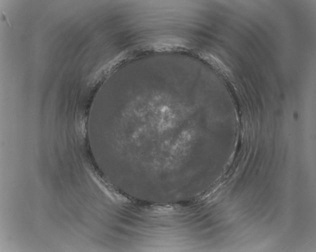 X0000061730405200512231440