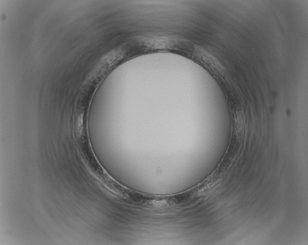 X0000061730406200512231440