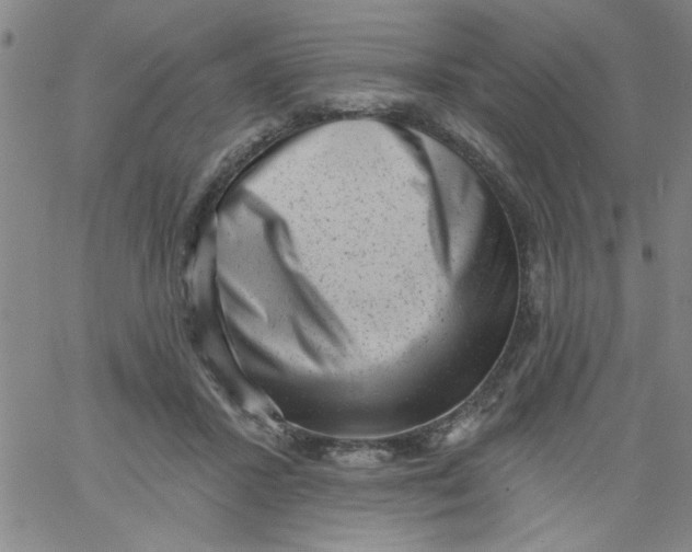 X0000061730407200512231440