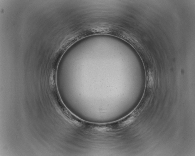 X0000061730408200512231440