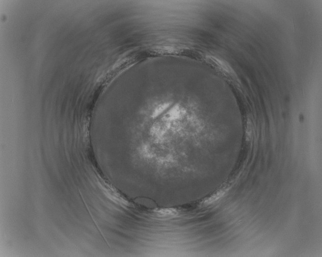 X0000061730409200512231440