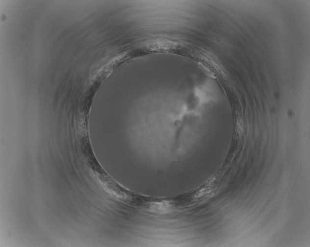 X0000061730411200512231440