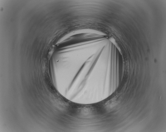 X0000061730412200512231440