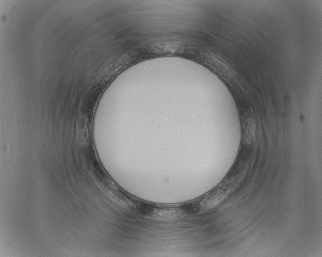 X0000061730414200512231439