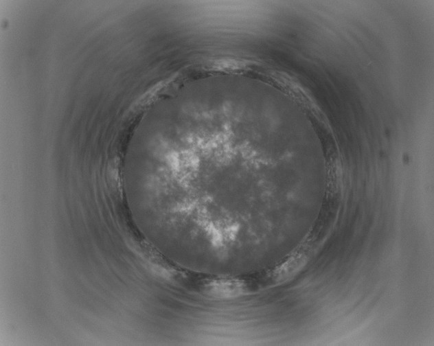 X0000061730415200512231439