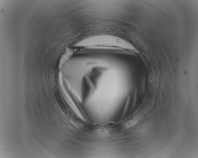 X0000061730416200512231439