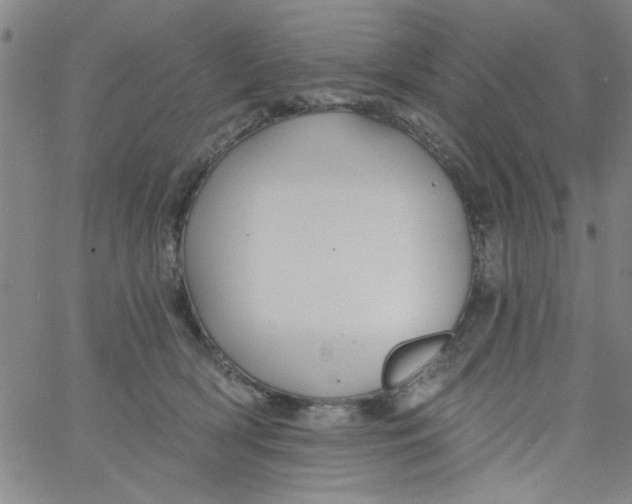 X0000061730418200512231439