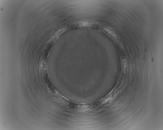 X0000061730419200512231439