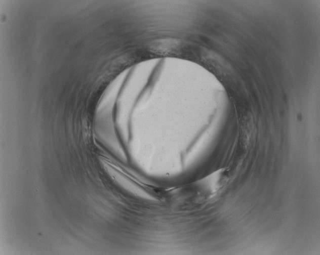 X0000061730420200512231439