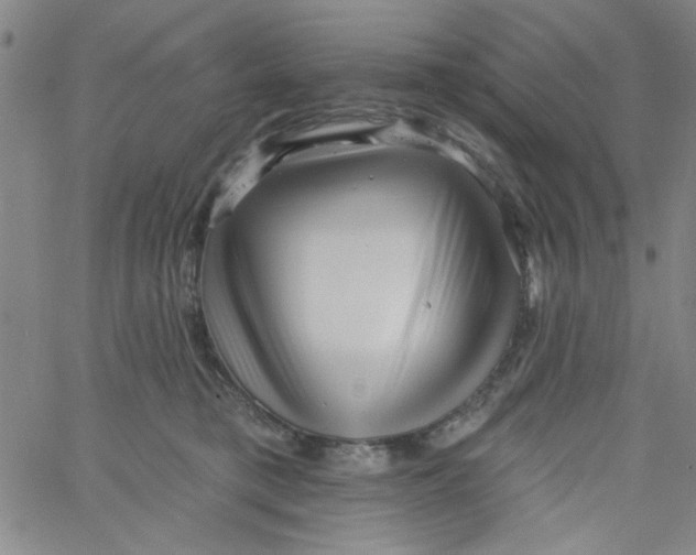 X0000061730421200512231439