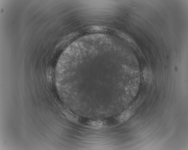 X0000061730423200512231439