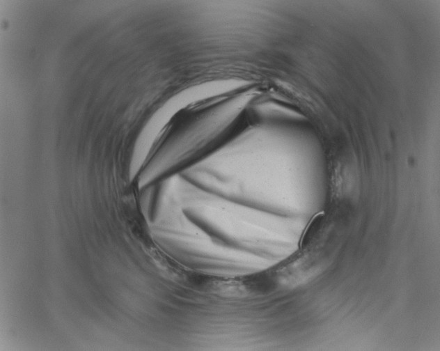 X0000061730424200512231439