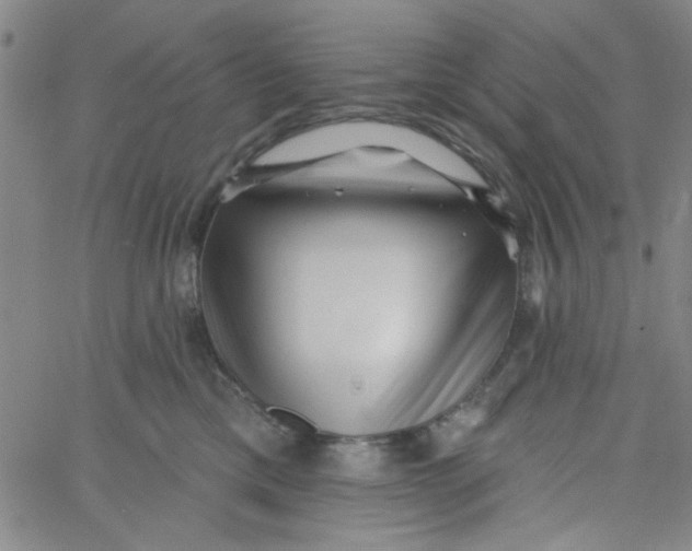 X0000061730425200512231439