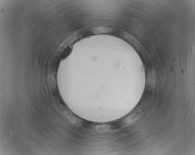 X0000061730426200512231439