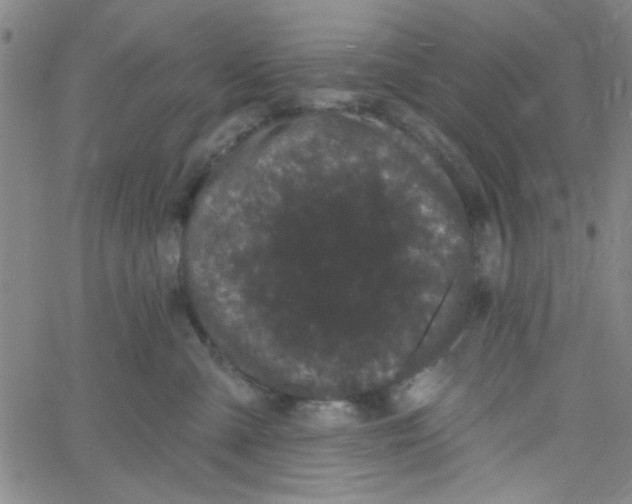 X0000061730427200512231439