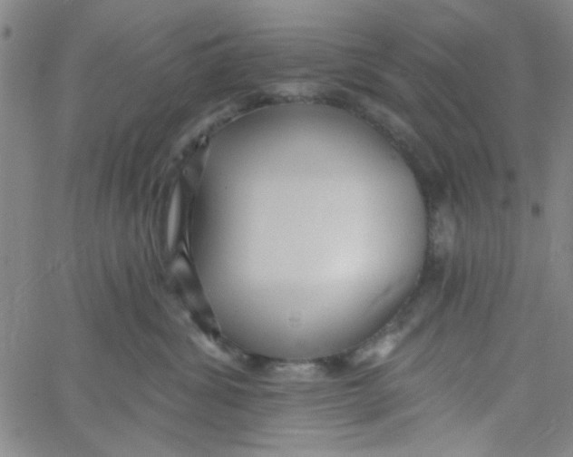 X0000061730428200512231439