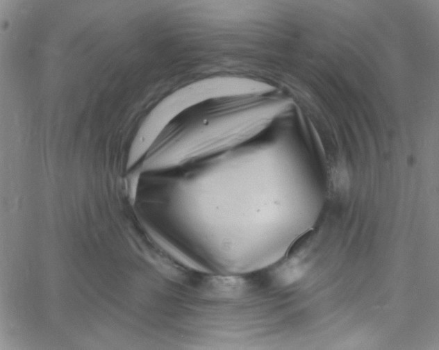 X0000061730429200512231439